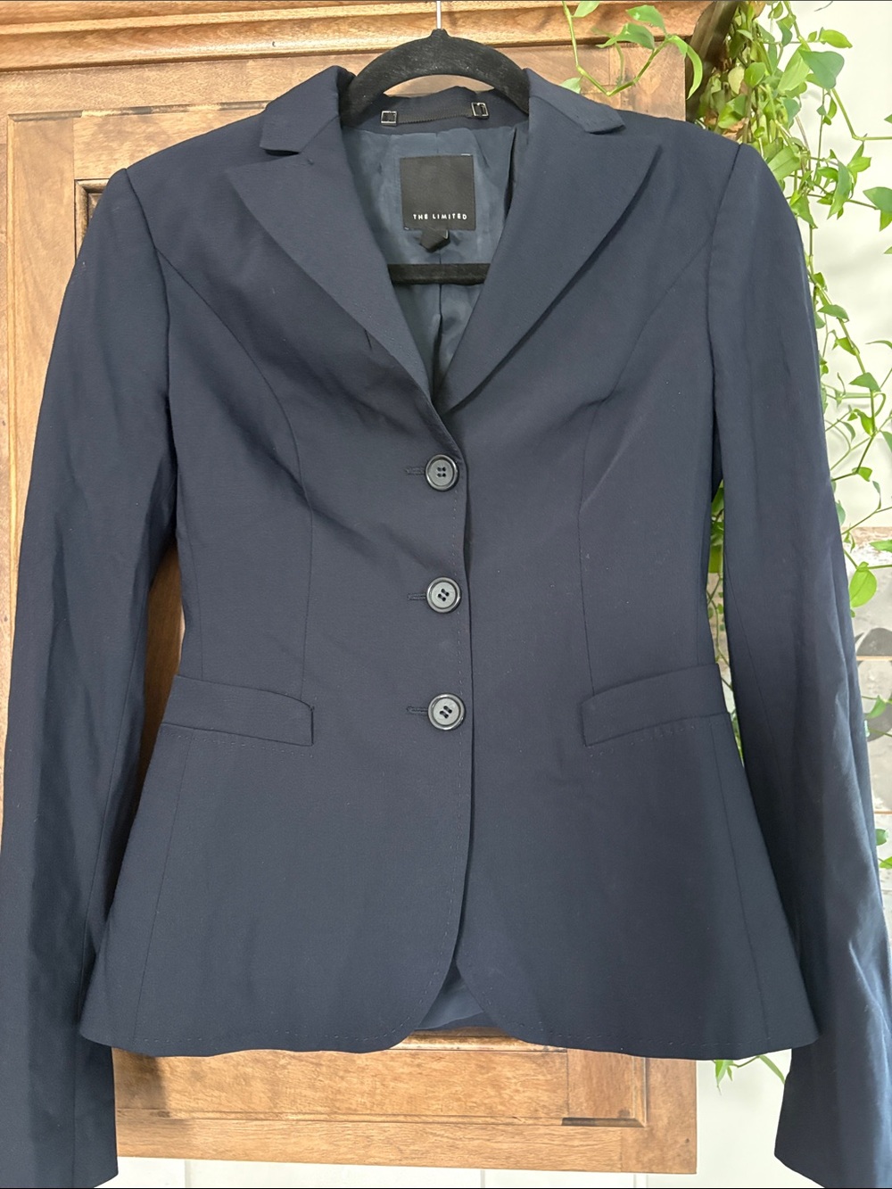 The Limited Navy Fitted Women's Blazer